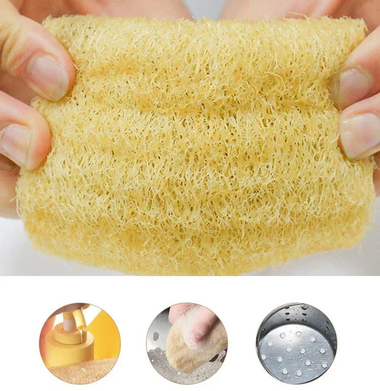 Natural Loofah Sponge - Biodegradable & Eco-Friendly Cleaning