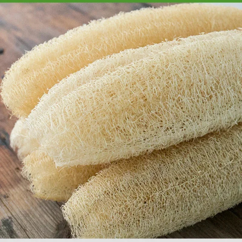 Natural Loofah Sponge - Biodegradable & Eco-Friendly Cleaning